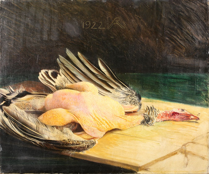 G_Gerupfter%20Truthahn_02